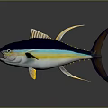 Vibrant Blue And Yellow Tuna Fish With Shiny Reflection On Dark Background