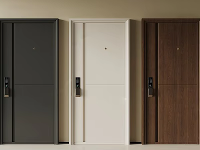 Three Modern Black White Brown Doors With Lock Hole And Handle 3d model