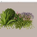 Diverse Plant Combination with Lush Ferns Bushy Shrubs Purple Flowers Lavender and Small Green Leaves