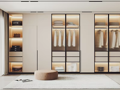Modern Wardrobe Interior Design With Glass Doors Built-in Shelves Hanging Rods And Storage Drawers 3d model