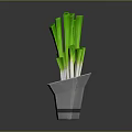 Fresh Green Onions In Geometric Shaped Pot On White Square Mat