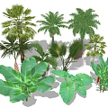 Tropical Garden Trees With Palm Banana Plants And Large Green Leaves
