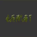 Multiple Green Plants With White Flowers In Different Forms On Dark Background For