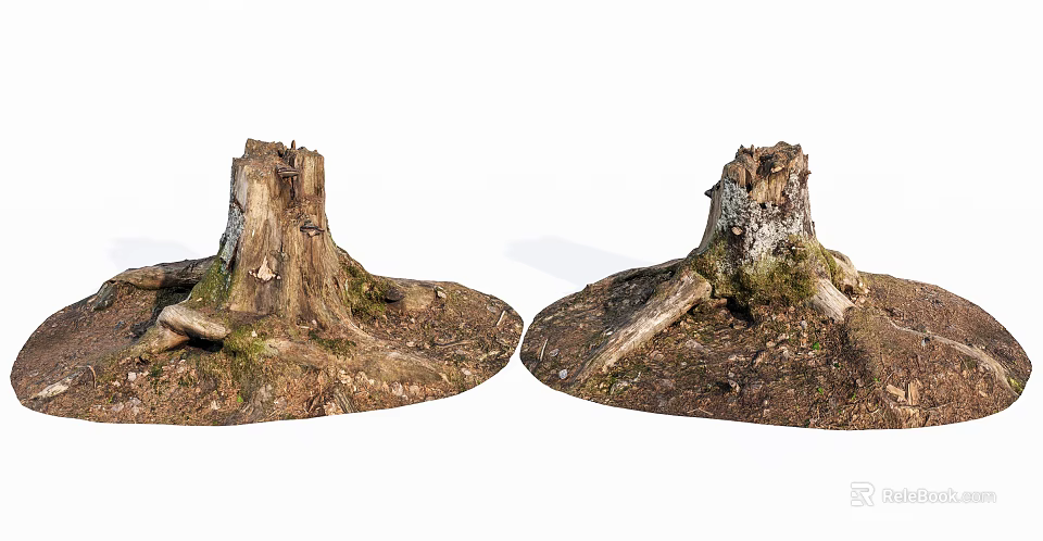 Natural Wood Tree Stumps With Stone Base And Moss Covered Roots 3d model