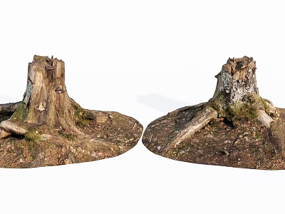 Natural Wood Tree Stumps With Stone Base And Moss Covered Roots 3d model