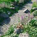 Waterfront Landscape With Stone Path Purple Flowers Green Plants And Rocks