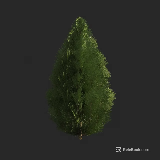 Evergreen Arbor With Dense Green Foliage In Natural Landscape Setting 3d model 