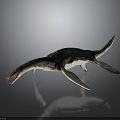 Detailed Plesiosaur Dinosaur Model With Long Neck Flippers Scaly Skin And Open Mouth