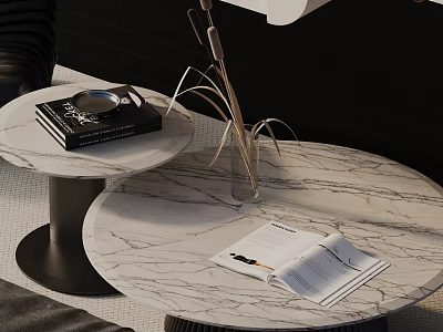 Modern Sofa Coffee Table Set Featuring Marble Top And Stylish Books Plant Vase 3d model