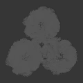 Lush Canopy Tree with Tall Trunk Green Leaves and Human Silhouette for Height Comparison