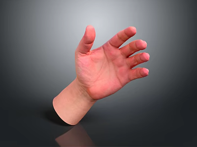 Realistic Anatomical Human Hand With Open Palm Fingers And Visible Hair Strands 3d model
