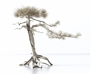 Modern Pine 3d model