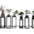 Elegant Bonsai Plants Displayed On Stylish Stands With Various Styles 3d model