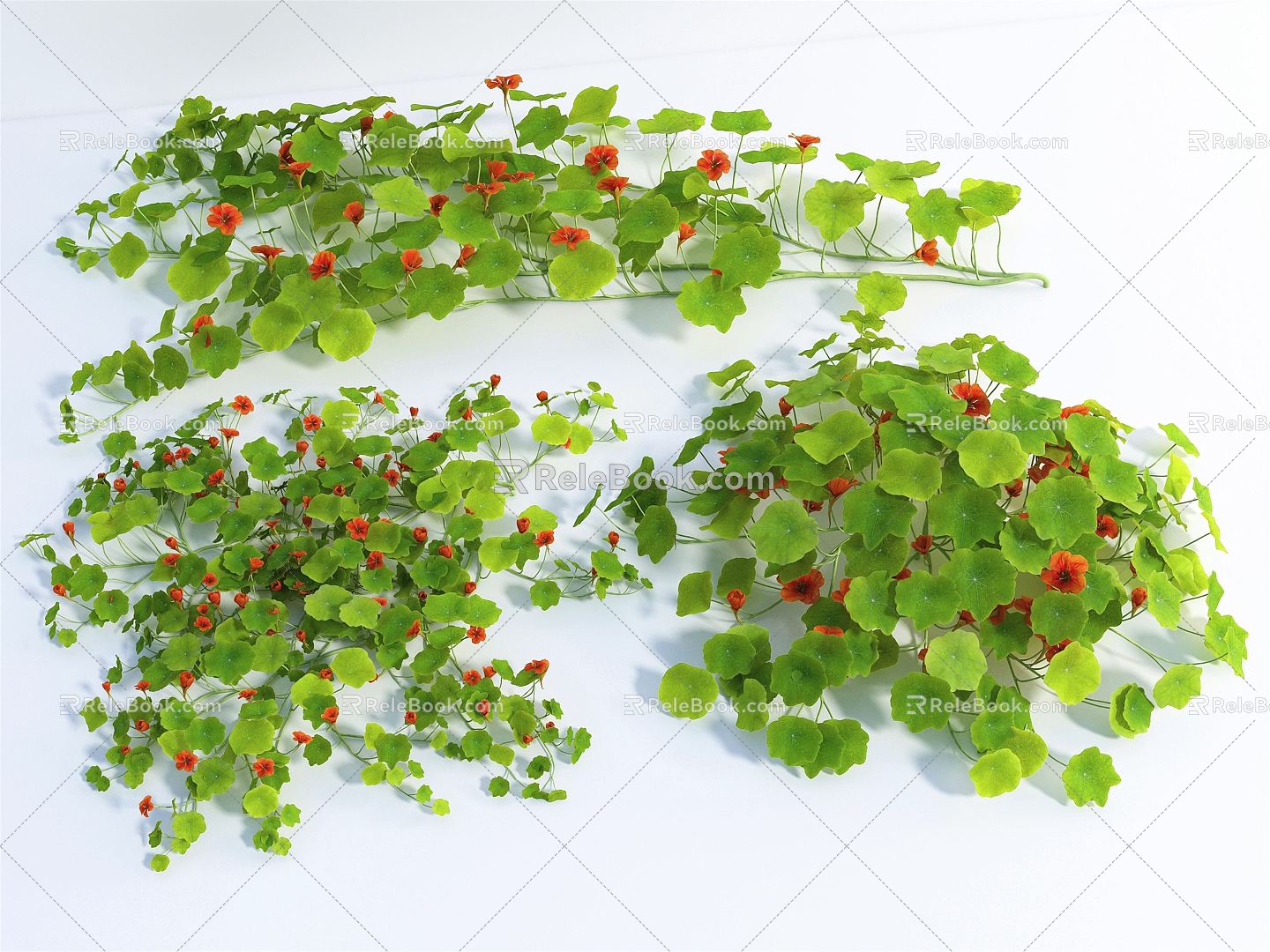 Modern Vine 3d model