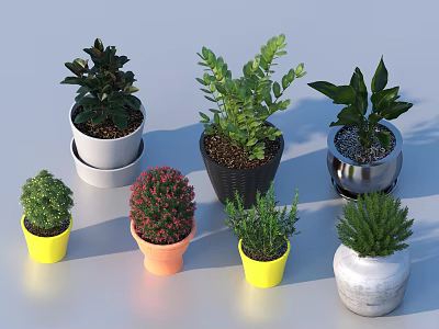 Bonsai Potted Plants With Green Leaves Red Flowers And Colorful Decorative Pots 3d model
