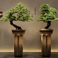 Pine Bonsai Plants on Tall Wooden Stands with Hanging Lantern in Traditional Setting