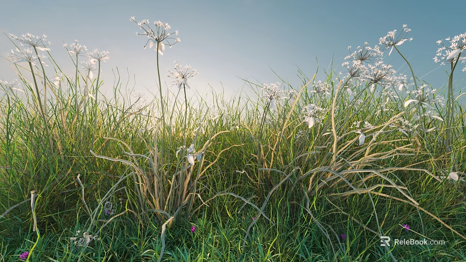 Healthy Green Shrubs With White Flowers Thriving In Sunlit Garden Grass 3d model 