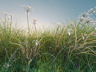 Healthy Green Shrubs With White Flowers Thriving In Sunlit Garden Grass 3d model