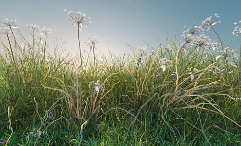 combination of flowers and plants landscape shrubs plant combination natural landscape weeds 3d model