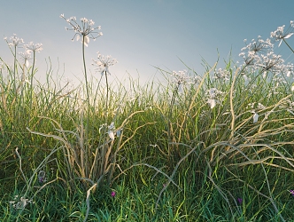 combination of flowers and plants landscape shrubs plant combination natural landscape weeds 3d model