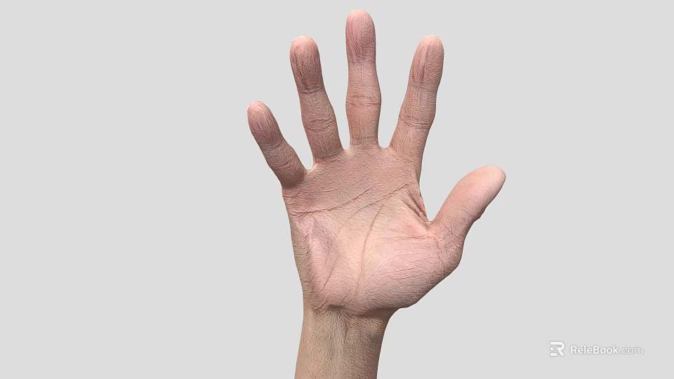 Man's Extended Hand Palm Showing Skin Texture And Finger Structure 3d model 