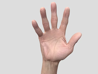 Man's Extended Hand Palm Showing Skin Texture And Finger Structure 3d model