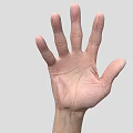 Man's Extended Hand Palm Showing Skin Texture And Finger Structure