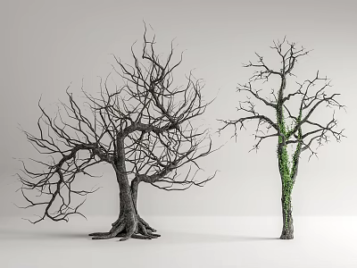 Two Arbor Trees With Leafless Branches Exposed Roots And Green Vines On White Background 3d model