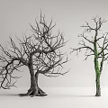 Two Arbor Trees With Leafless Branches Exposed Roots And Green Vines On White Background 3d model