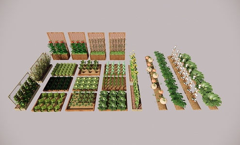 Modern Plant Crops 3d model