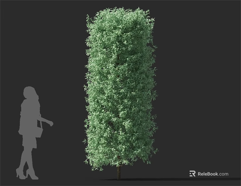 Tall Green Tree With Lush Foliage And Female Silhouette On Black Background 3d model 