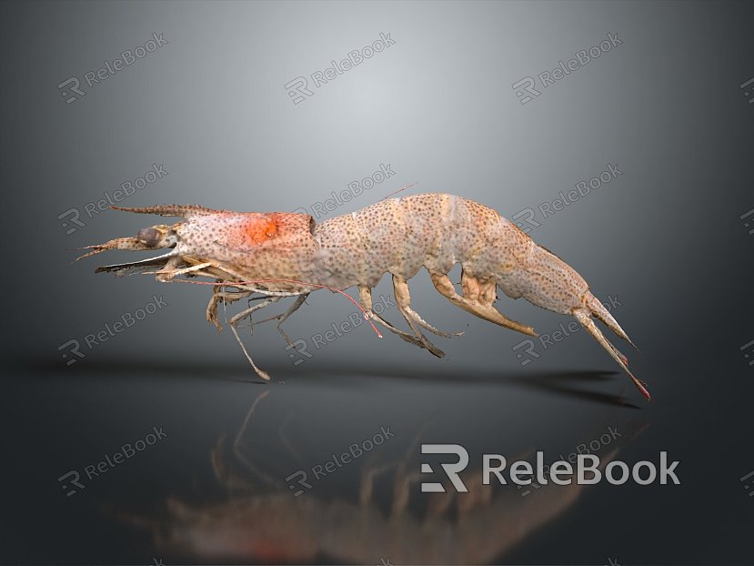 lobster big lobster crystal lobster cartoon lobster marine animal fish freshwater fish marine fish animal model