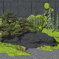 Natural Garden Landscape Featuring Gray Stone Wall Pine Trees Grasses and Mossy Rocks