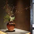Rustic Terracotta Vase With Branches Green Leaves And White Flowers On Dark Wall
