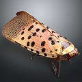 Spotted Insect with Brown Spotted Wings and Yellow Body on Dark Background