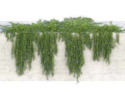 Green Hanging Vines Growing On Rough White Stone Wall With Lush Leaves 3d model