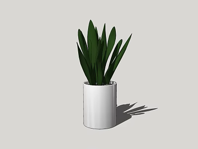 Stylish Potted Plant with Green Long Leaves in White Pot on Light Gray Background 3d model
