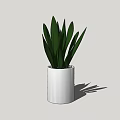 Stylish Potted Plant with Green Long Leaves in White Pot on Light Gray Background