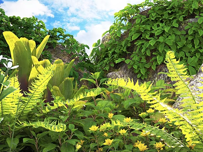 Lush Shrubs With Green Leaves Ferns Yellow Flowers Rocks And Blue Sky 3d model