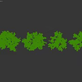 Green Leafy Arbor Trees With Various Growth Shapes And Human Scale Figure
