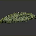 Scenic Green Forest Landscape With Winding Path Leading To Small Chapel On Hill