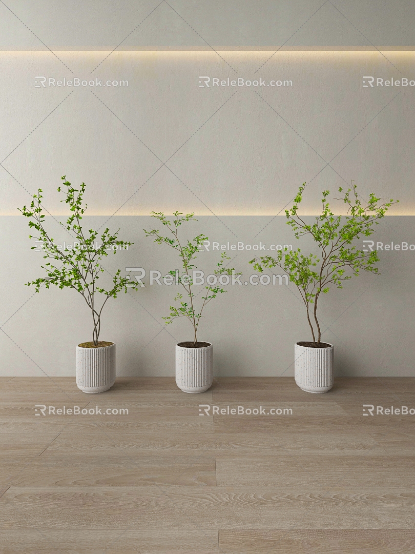 green plant potted plant 3d model