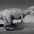 Dinosaur Tyrannosaurus Rex 3d model