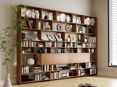 Modern Bookcase model