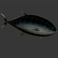 Shiny Silver Tuna Fish With Streamlined Body Shiny Scales And Ocean Habitat
