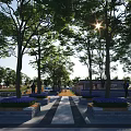 Tranquil Garden Landscape With Lush Trees Sunlight Paved Path And Purple Flower Beds