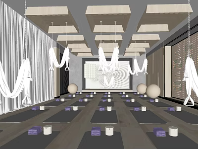 Yoga Studio Fitness Space With Yoga Mats Balls Hammocks And Candles Ambiance 3d model