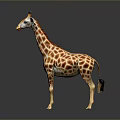 Realistic Giraffe 3D Model As Game Movie Animated Character With Detailed Design