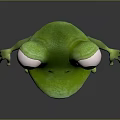 Frog Poison Frog Game Frog Reptile Cold Blooded Animal Reptile 3d model