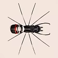 Assembly modular toy spider 3d model